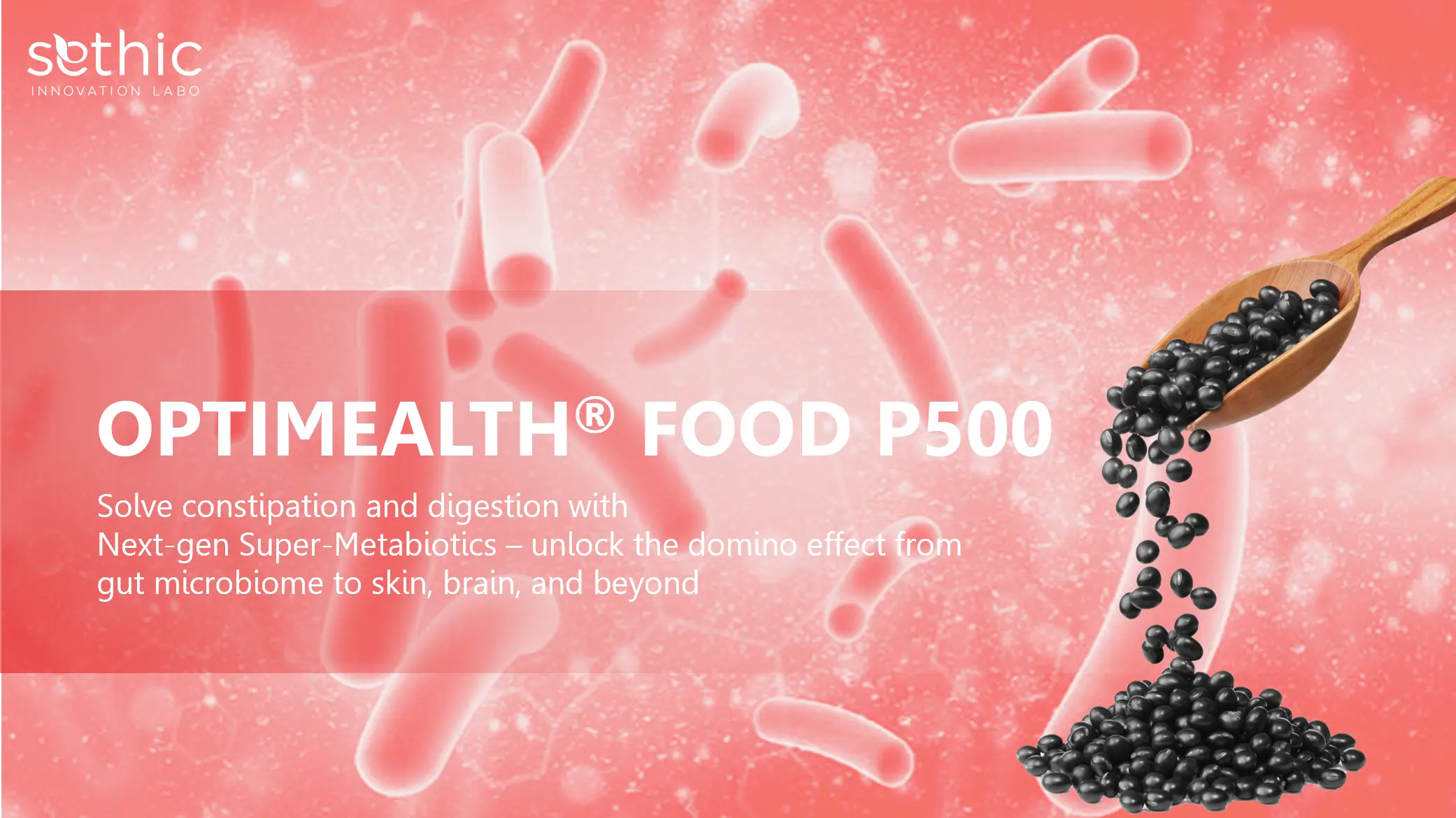 OPTIMEALTH® FOOD P500