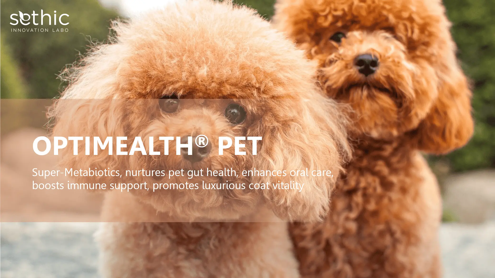 OPTIMEALTH® PET